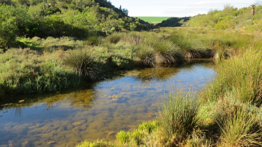 Commercial Property for Sale in Swellendam Rural Western Cape
